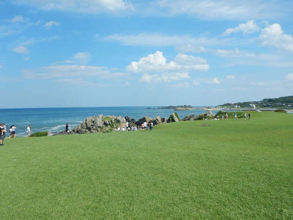 【岩手県内発】 南部町名川さくらんぼ狩りと種差海岸 日帰り3